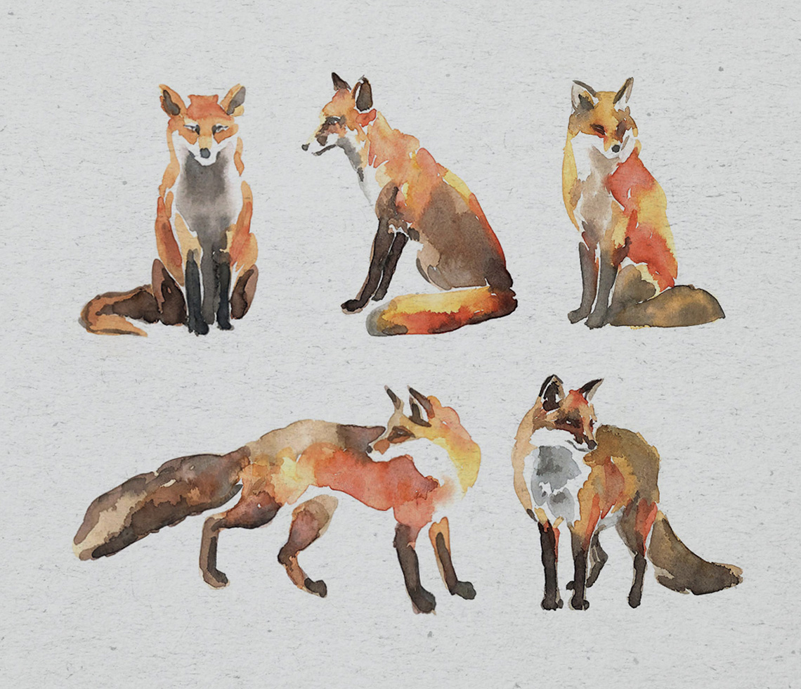 animal watercolors